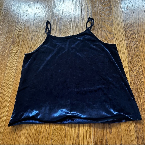 Blue Velvet Camisole - Picture 3 of 4